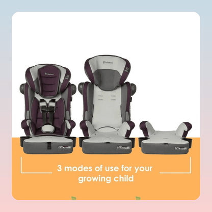 3-in-1 Harness Booster Car Seat