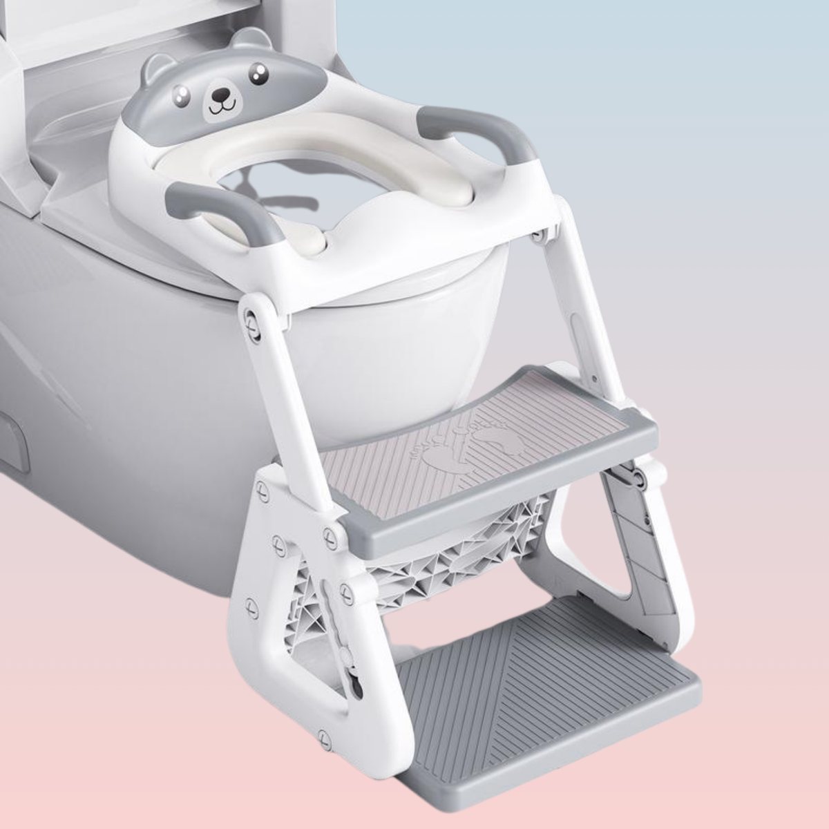 Toddler Potty Training Seat and Step Stool
