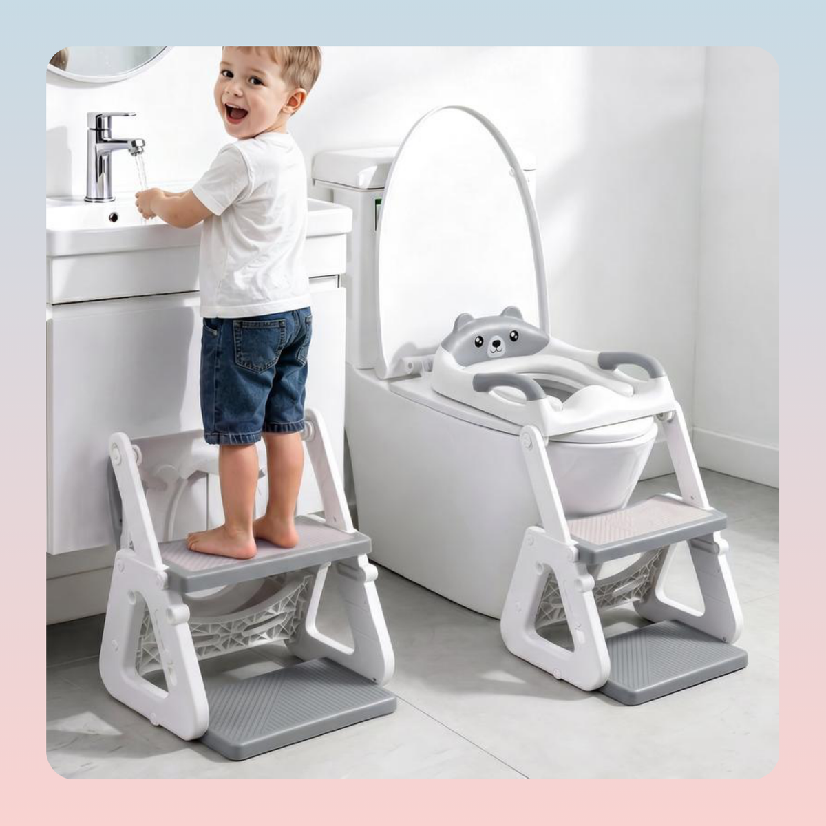 Toddler Potty Training Seat and Step Stool